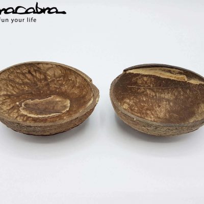 Coconut Bowls by Supracabra.com - Fun your life